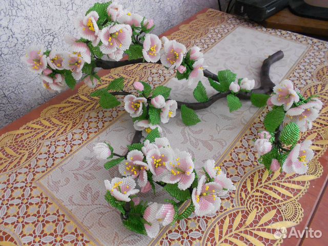 Ветка яблони