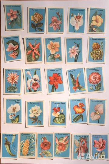 Наборы спичечных этикеток: