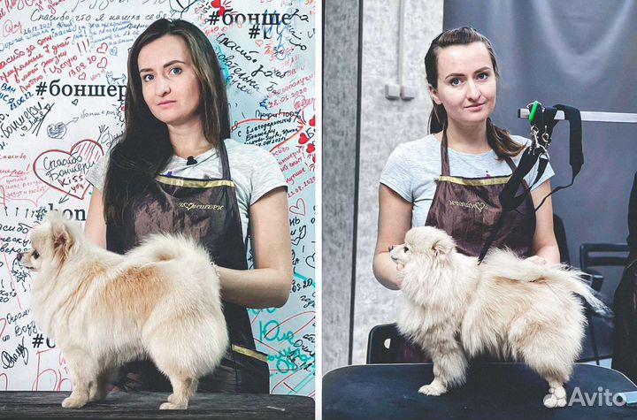 Груминг собак с выездом на дом