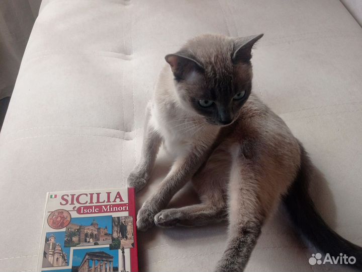 Книга на итальянском языке Sicilia e Isole minori