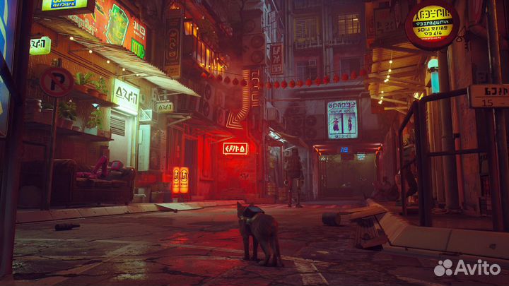 Игра Stray для PS4, русские субтитры