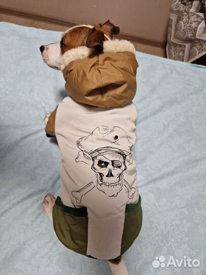 Комбинезон Petmax xl