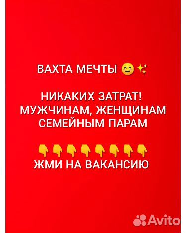 Вахта без проверки сб хостел еда для всех