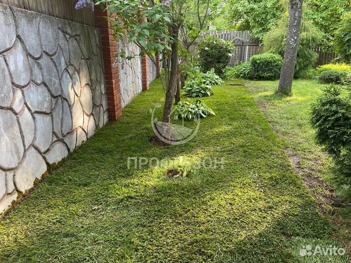 Премиальный Газон в рулонах с доставкой и укладкой