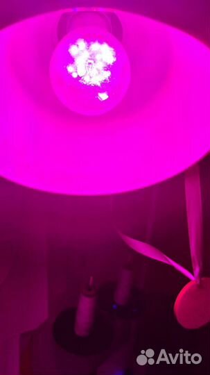 Cветодиодная фитолампа для рассады эра 14Вт