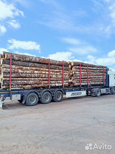 Дрова березовые колотые