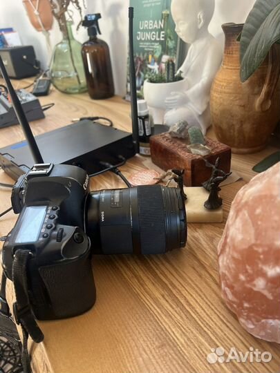 Фотоаппарат canon 5d mark ii, sigma 35mm 1 4 art