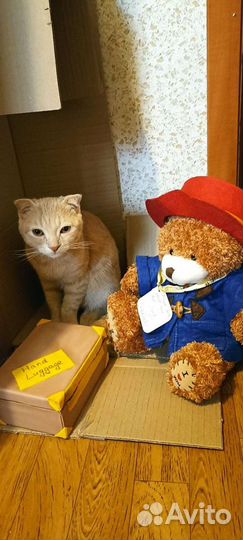 Котик для вязки