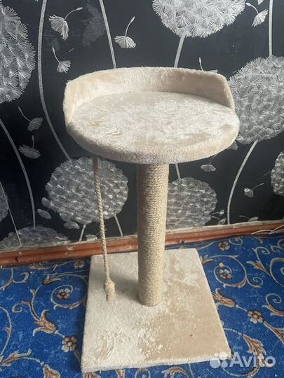 Когтеточка