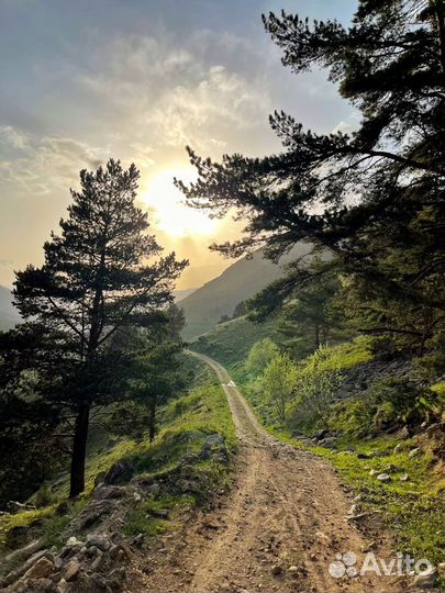 Экскурсии на комфортабельных внедорожниках