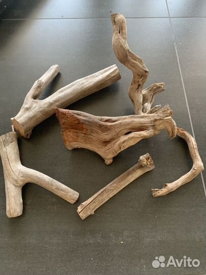 Коряга (азалия) для аквариума