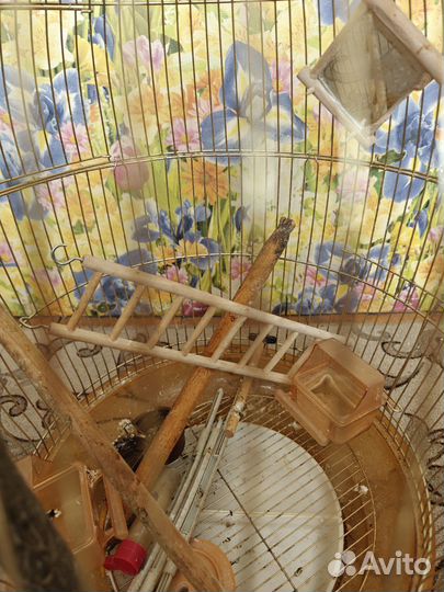 Клетка для попугая
