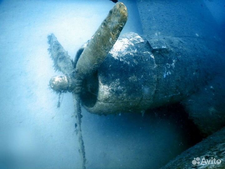 Обучение дайвингу по международной системе cmas