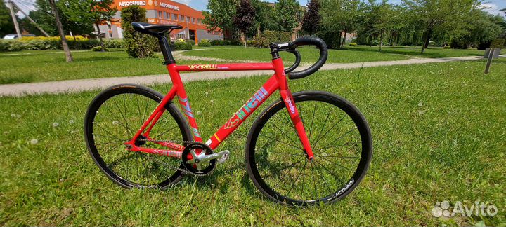 Cinelli vigorelli shark 54 fixed gear