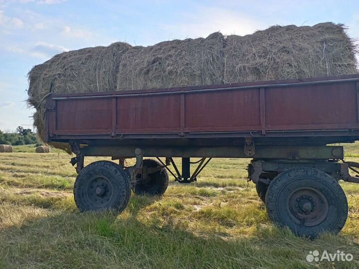 Сено в рулонах