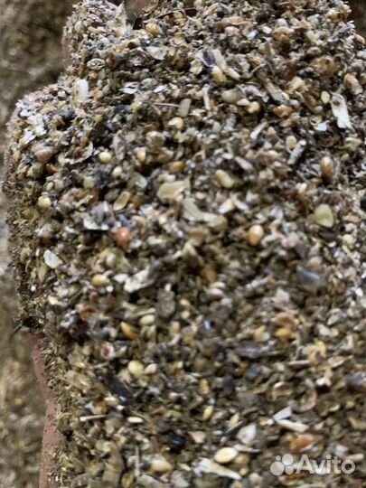 Зерно отходы