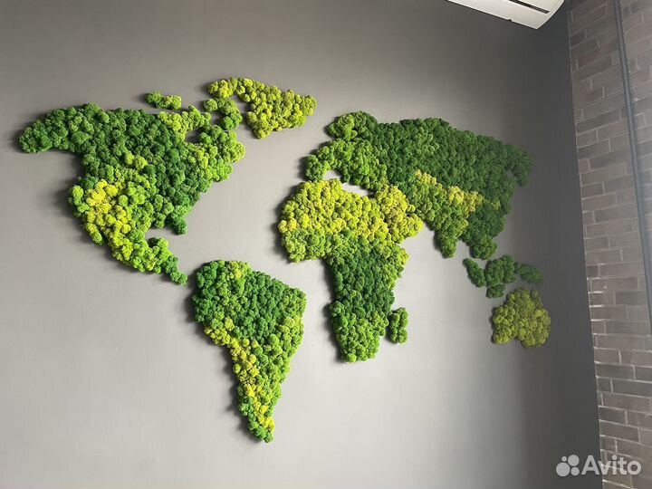 Карта мира из мха на стену