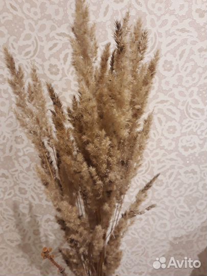 Корзинки, метелка, букет, ваза