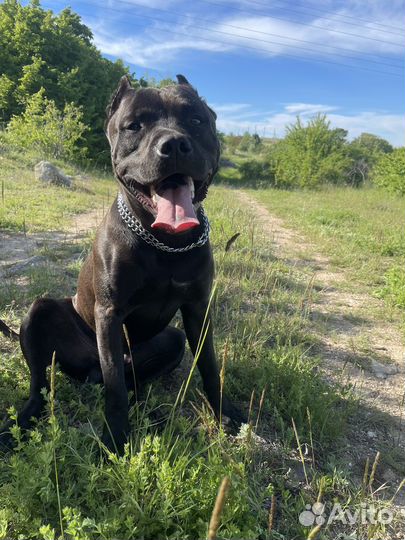 Сольемся в экстаз