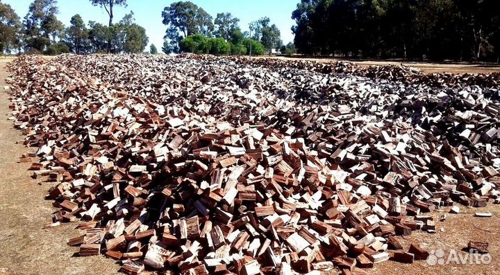 Дрова с Приморска