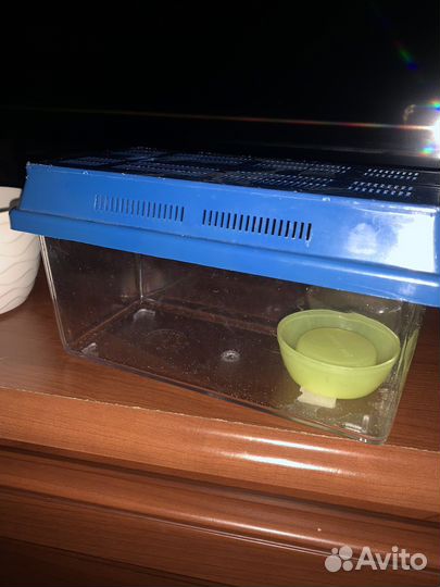 Переноска для грызунов