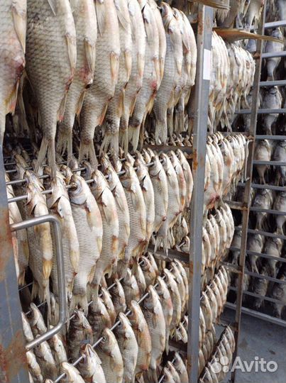 Астраханский вяленый лещ