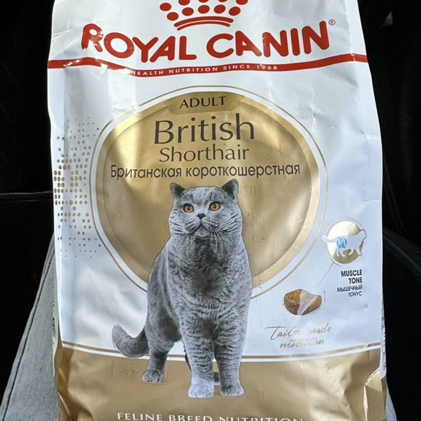 Корм для кошек royal canin