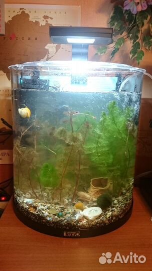 Tetra Аквариум дуговой 30л