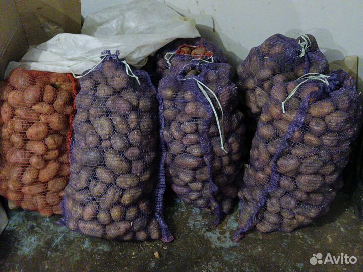 Продам картофель оптом