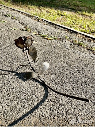 Кованая роза