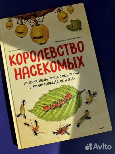 Королевство насекомых