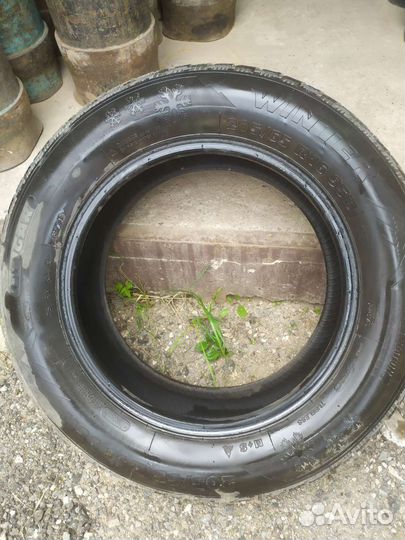 Tigar Winter 205/65 R16