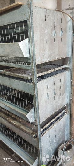 Клетки для кур бройлеров