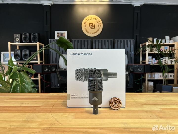 Audio-Technica AE2500