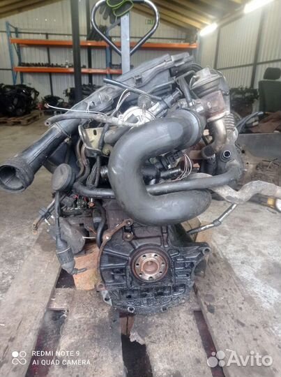Двигатель в с боре Рено Канго 1,9 TDI c98-05г F9Q