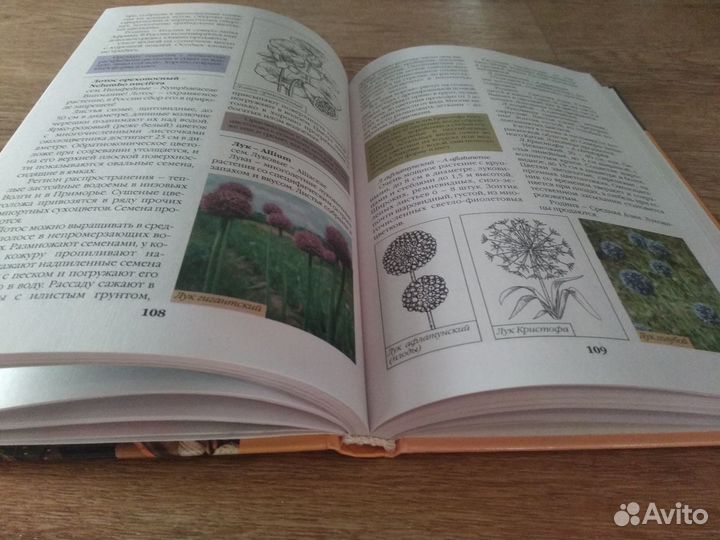 Книга. Уроки флористики. Сухоцветы