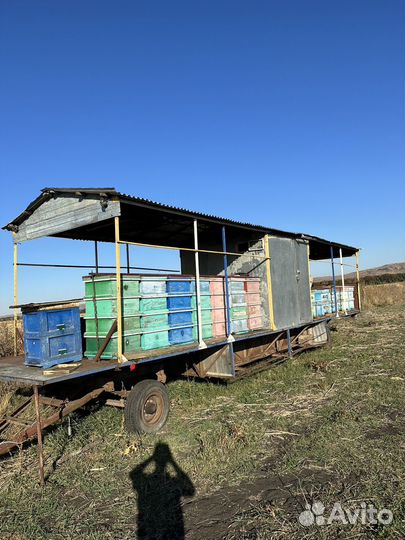 Павильон для пчел обмен