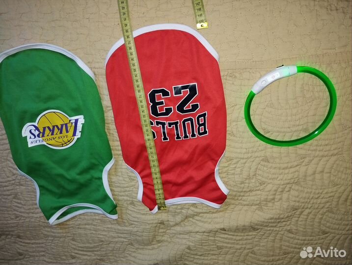 Майка для собак и ошейник