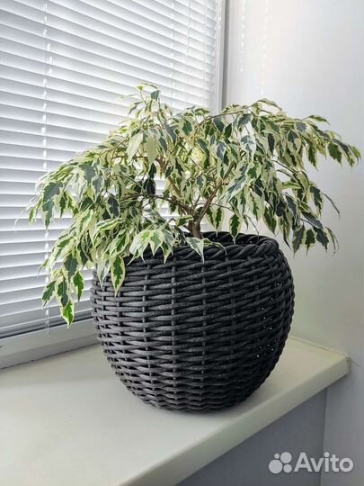 Кашпо плетеное для цветов из ротанга