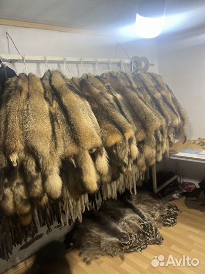 Шкуры енота