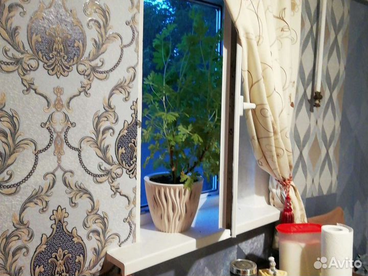 Цветок *лимонник пахучий*