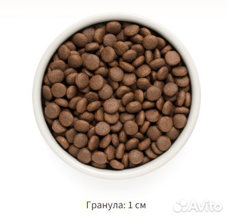 Корма для животных