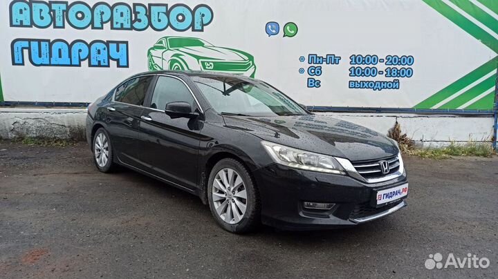 Петли двери задней левой Honda Accord