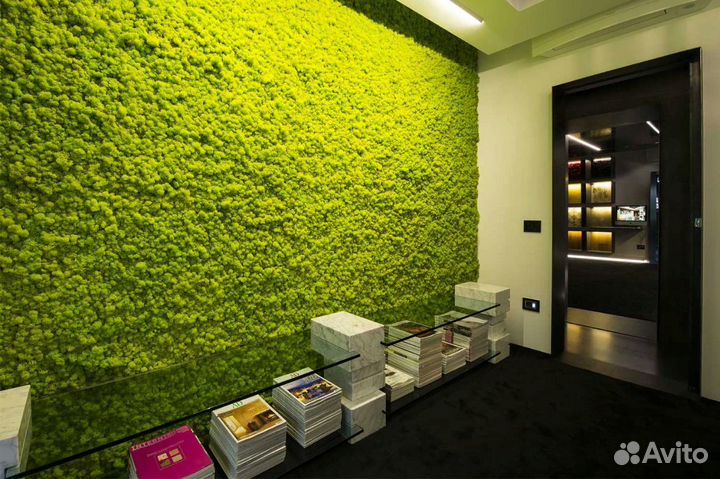 Фитостена из Стабилизированного мха