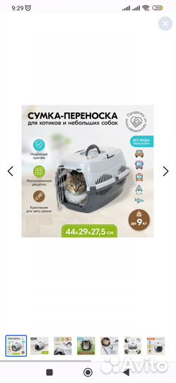 Переноска для кошек / аренда