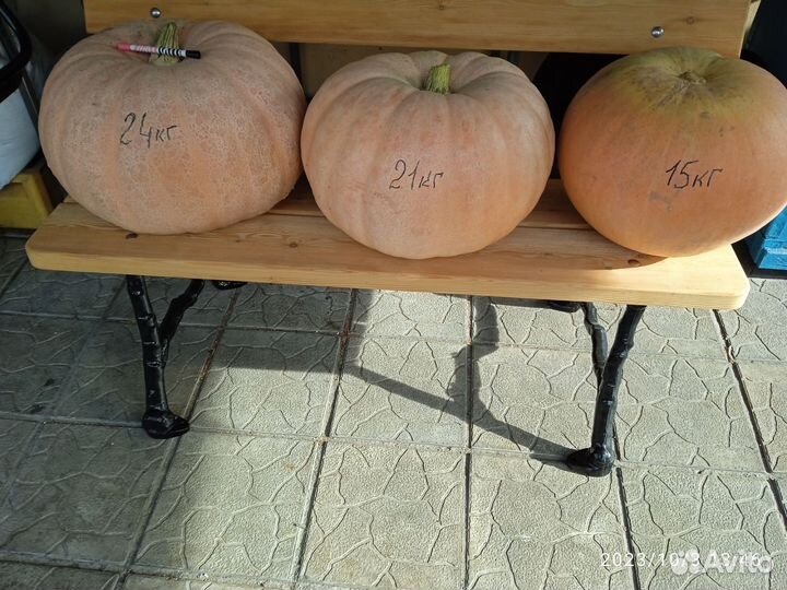 Продукты питания