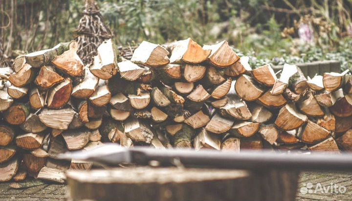 Дрова свежие