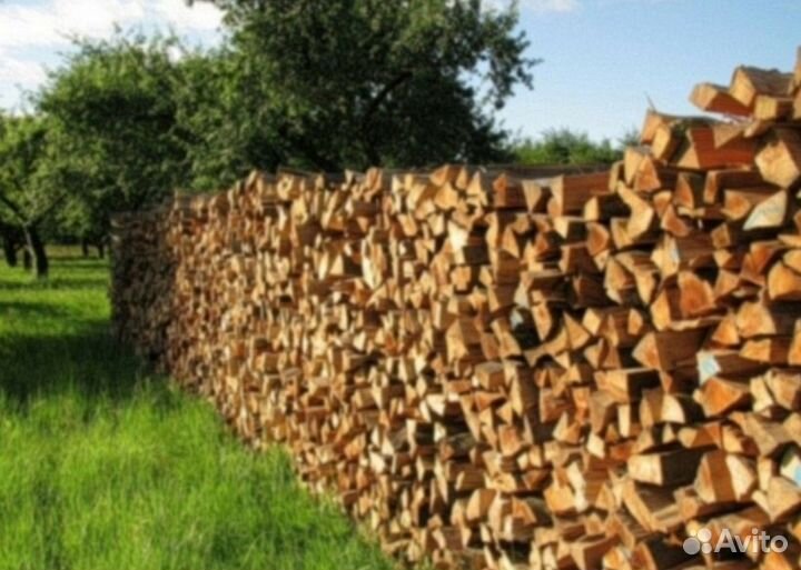 Дрова березовые колотые