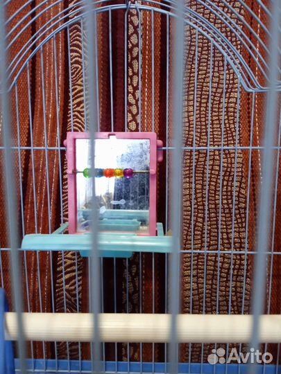 Клетка для попугая
