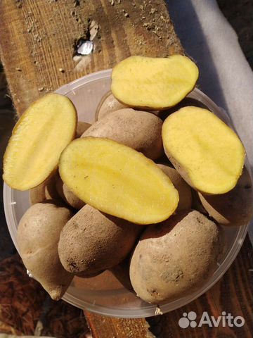 Сортовой картофель